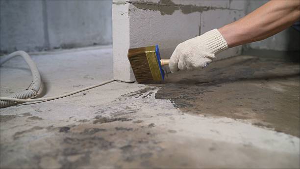 Top rated local Crawl Space Encapsulation specialists in Greenback, TN